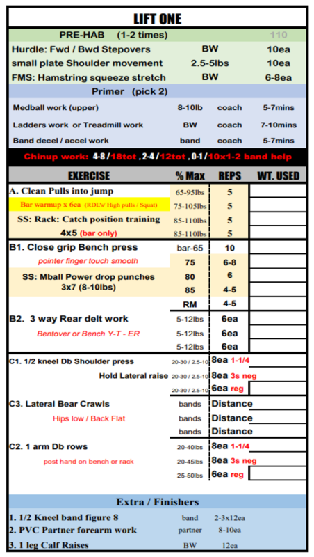 Practical programming for young strength coaches - Coach and Athletic ...
